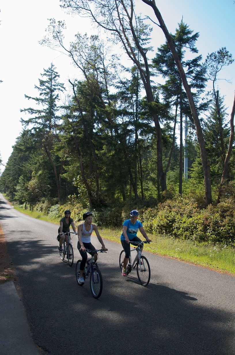 A group of three people riding their bikes on a quiet street on Anderson Island