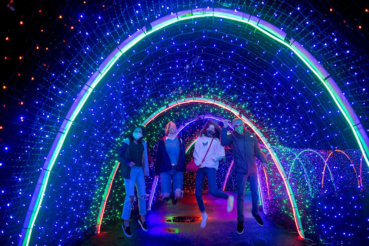 Fantasy Lights Walk Through Experience